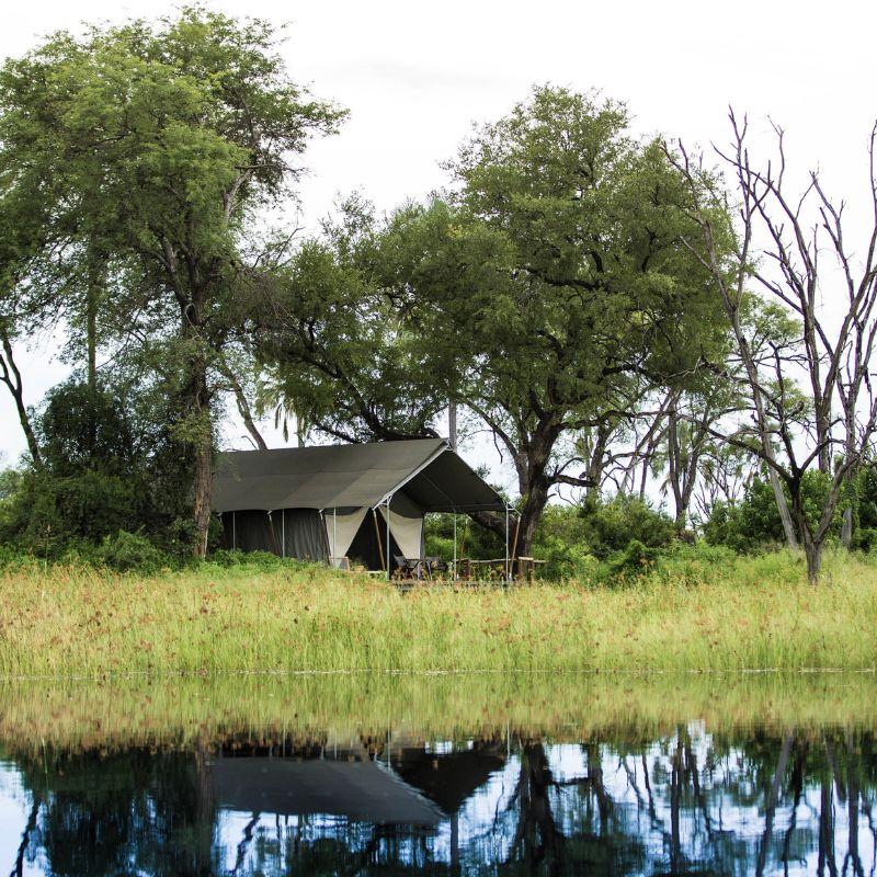 Luxury Resorts - Thumbnail - Gomoti Plains Camp [800 x 800 px].jpg